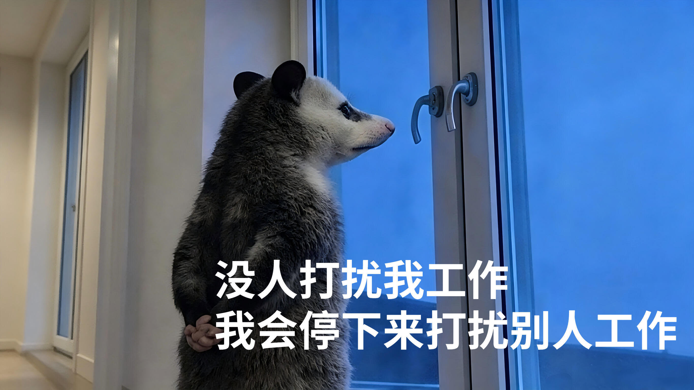 让我来看看你们有没有认真工作确实挺认真的，那我可要开始来打扰了看看这里👇网页链