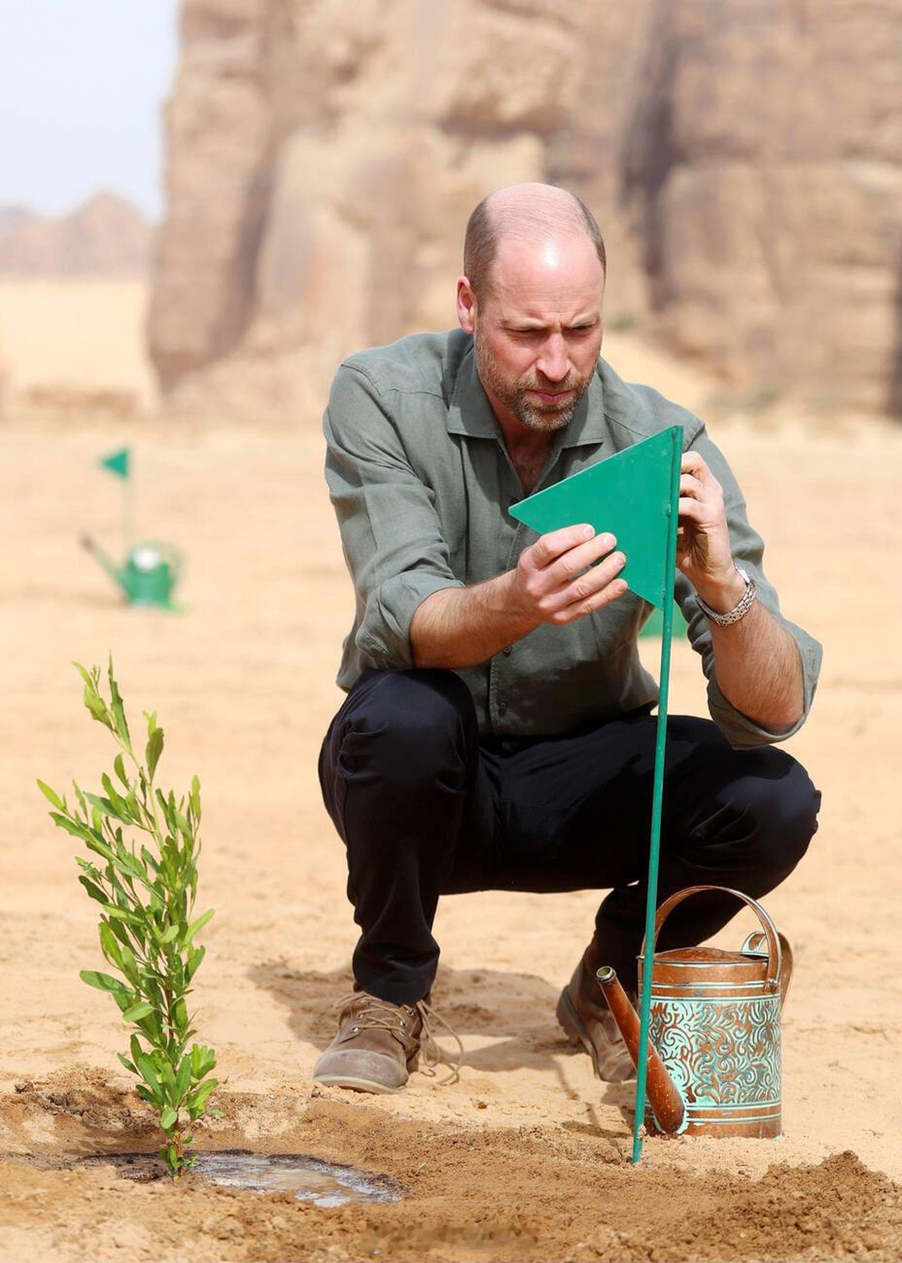 威廉王子  今天威廉王储在沙特阿拉伯埃尔奥拉访问Sharaan自然保护区（这是沙