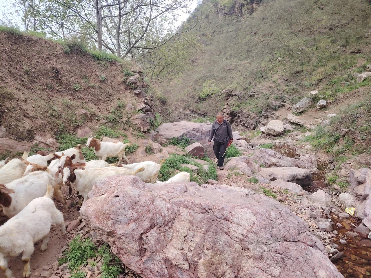 分享一下你今天随手拍下的美景汝阳县岘山天桥凹月亮山