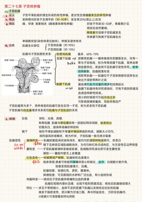 妇产科学（20）-子宫体肿瘤