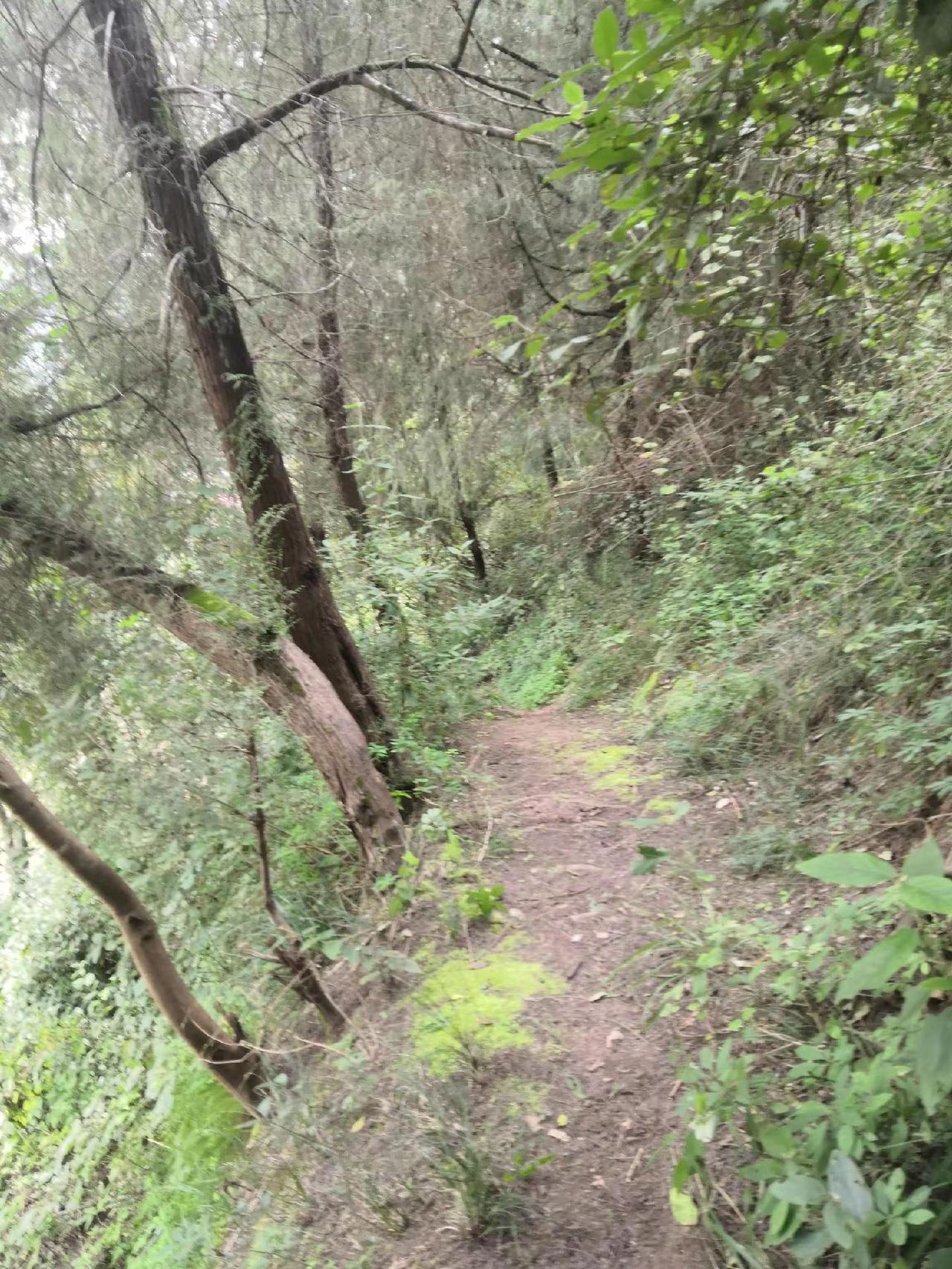 大山里的原生态 大山深处的自然风景 大山里的风景就是这么美 山里的风景 大山深处