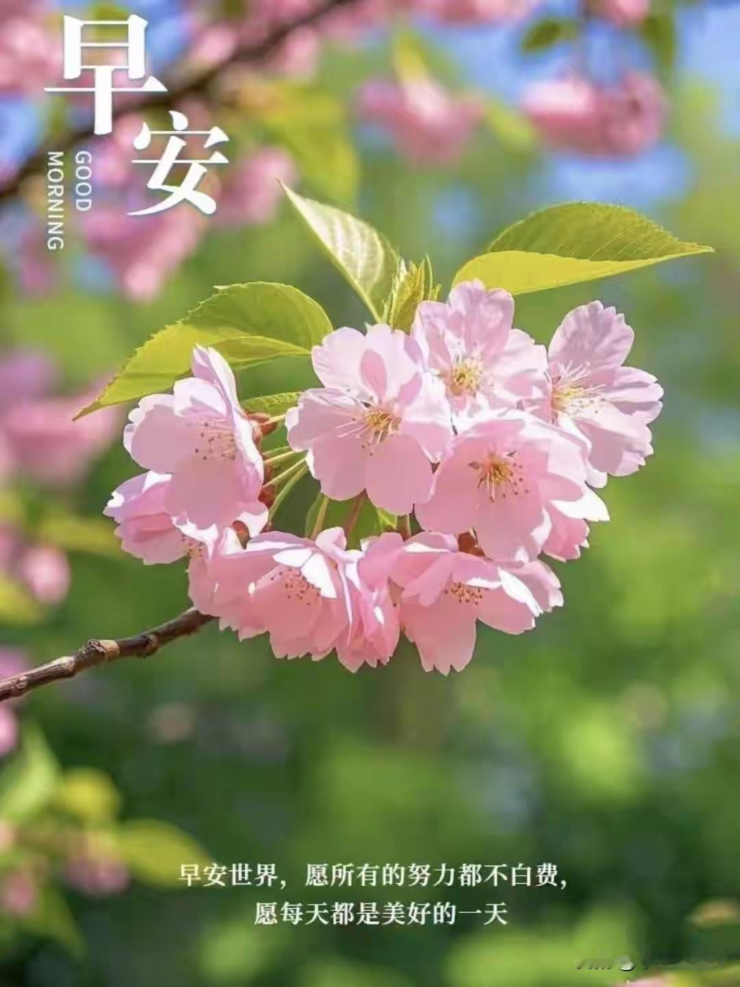 阳光很暖，电量很满，用满腔热爱去营业今日的快乐。