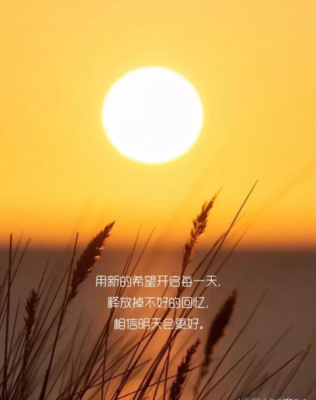 高一开学第一天，别被“重点班”三个字吓哭。

真正拉开差距的，是报到前这7天你在