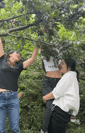 不要叫那么大声，搞的我口水都流地下了!