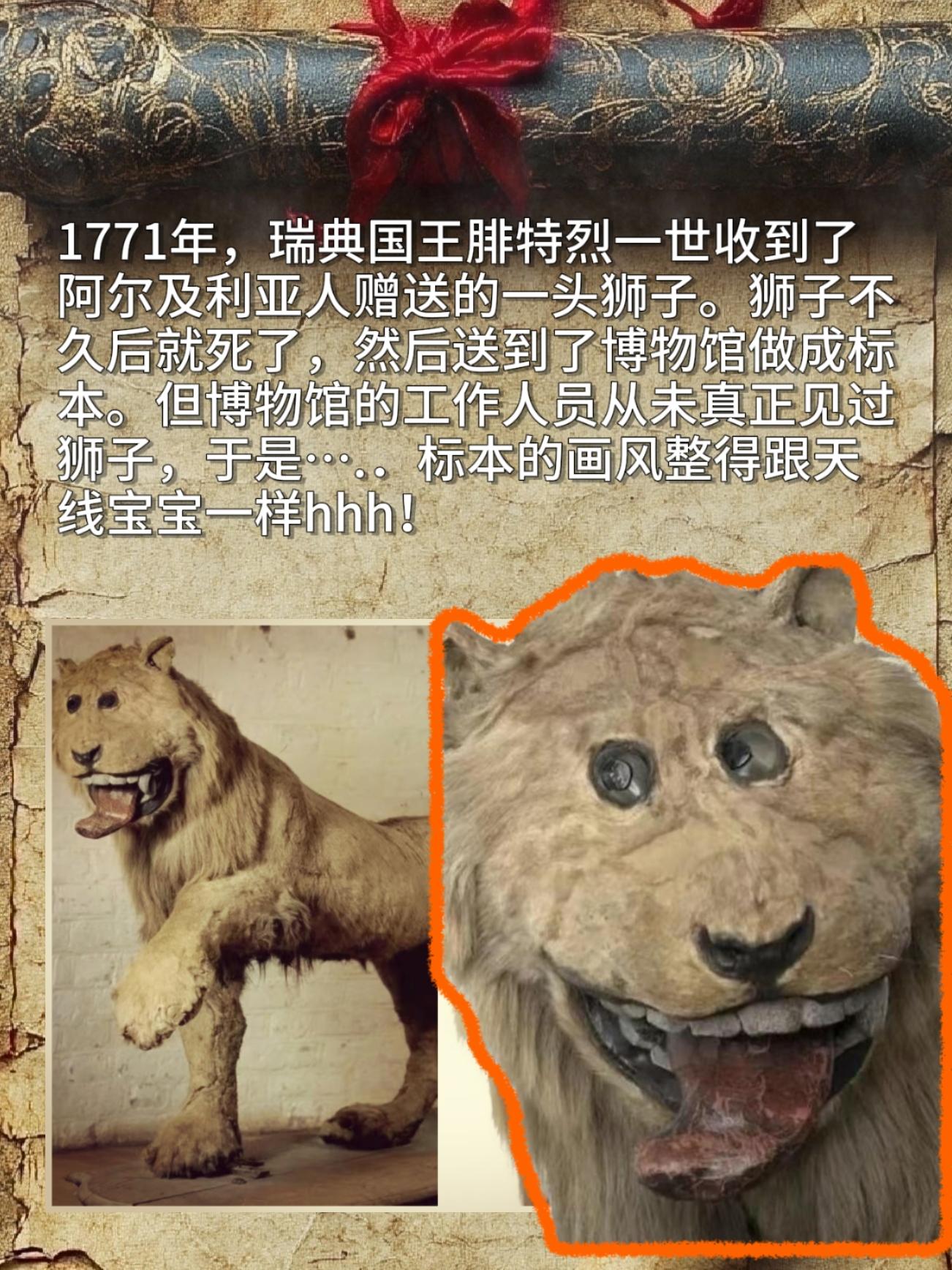 1771年，瑞典国王腓特烈一世收到了阿尔及利亚人赠送的一头狮子。狮子不...