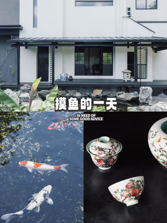 又是在山居摸鱼的一天