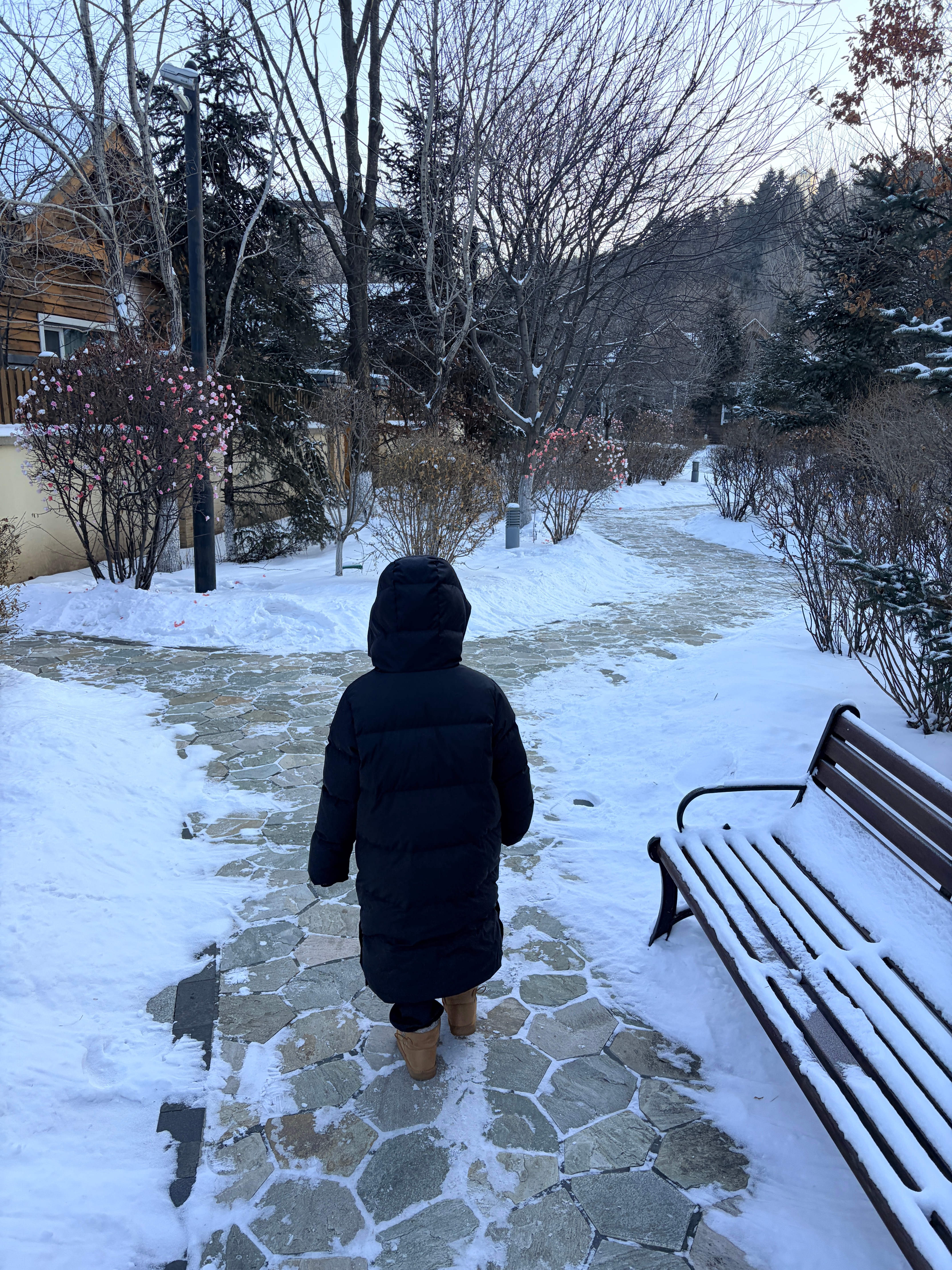 闲下来一段时间，跟大家聊聊一些小感受。我最后一次回公司，是去拿走我自己的一些东西