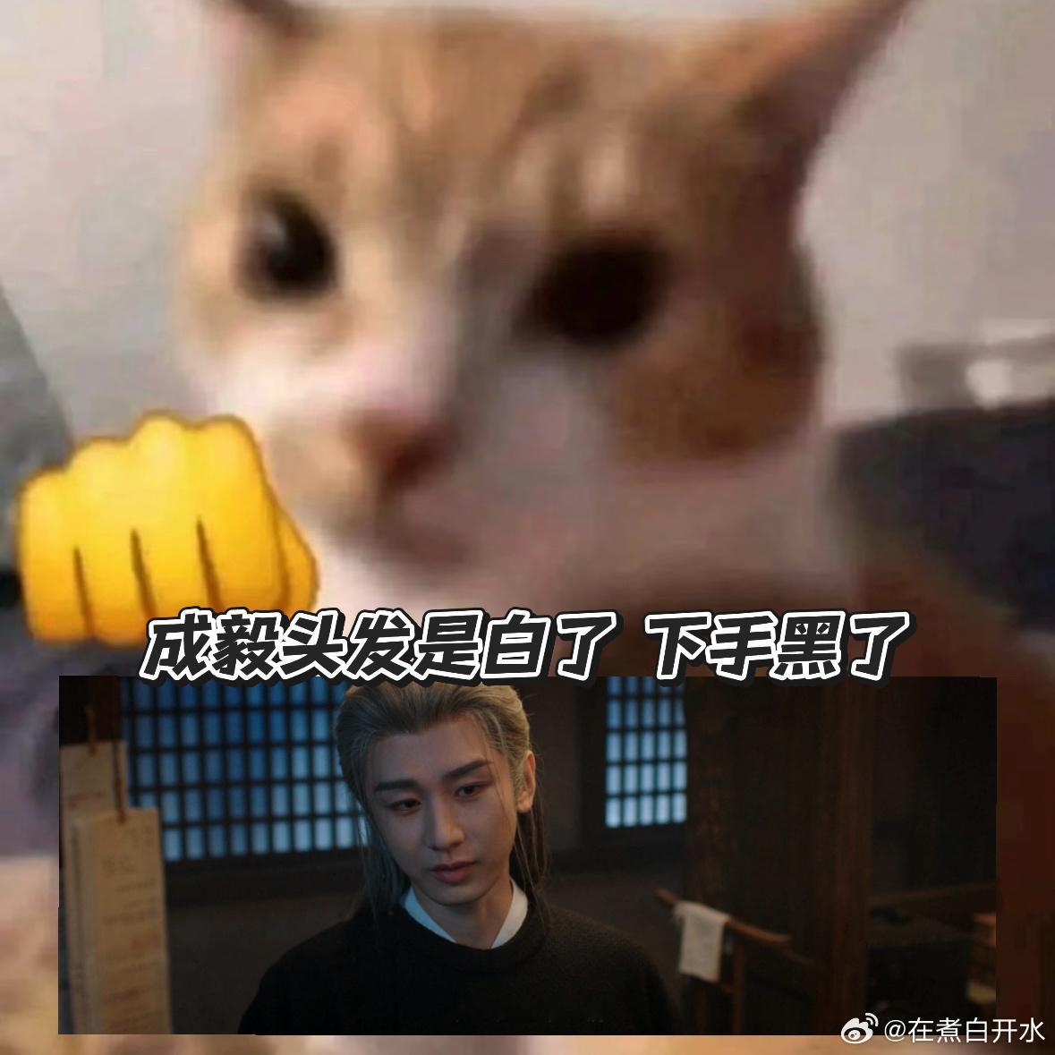 谢淮安染白发 谢淮安一白头是真狠！提前埋好暗桩，顾玉被抓也是算计，今晚这反转看得