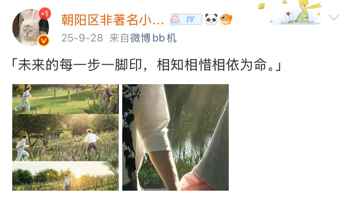 家产以痛吻我，我说太好吃了 ​​​