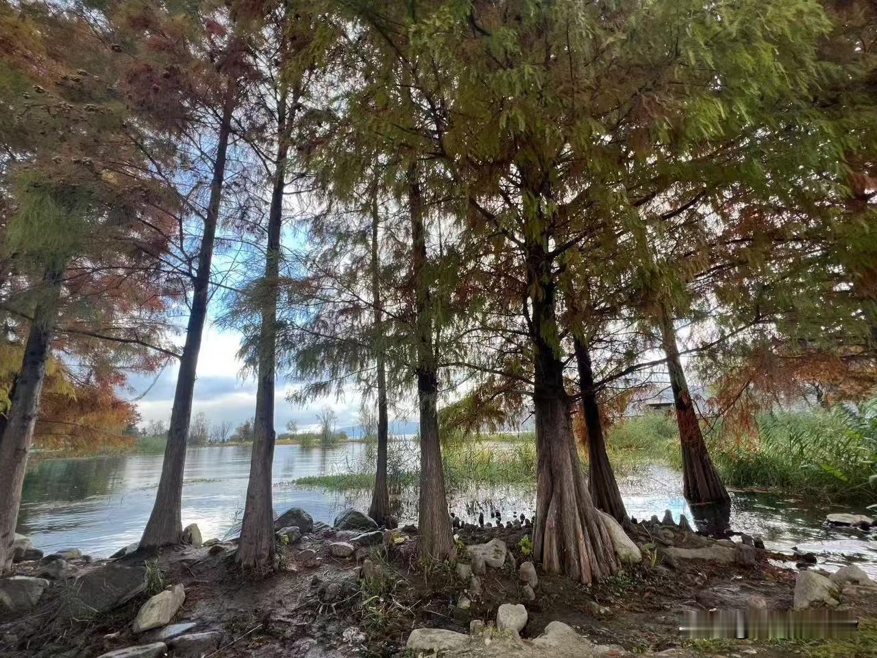 周六武汉地铁客流量达到421万人次以上[呲牙][呲牙][呲牙] 爆料 身边事 地