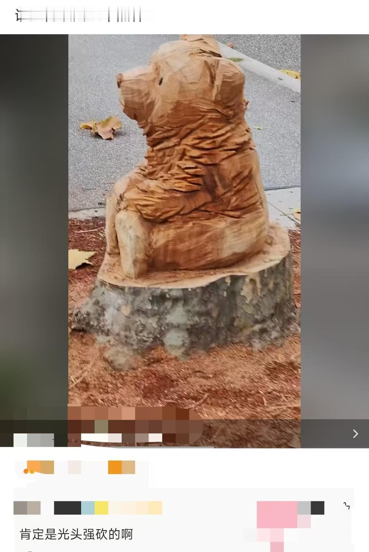 是哪位大神把树砍成这个熊样子！