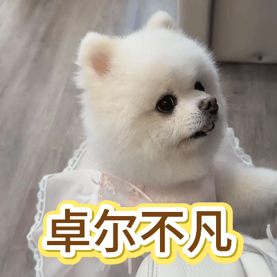 百花杀老婆怀孕丈夫准备身后事这块就能看出沈汐和内心的强大了，即使感情很浓，很伤心