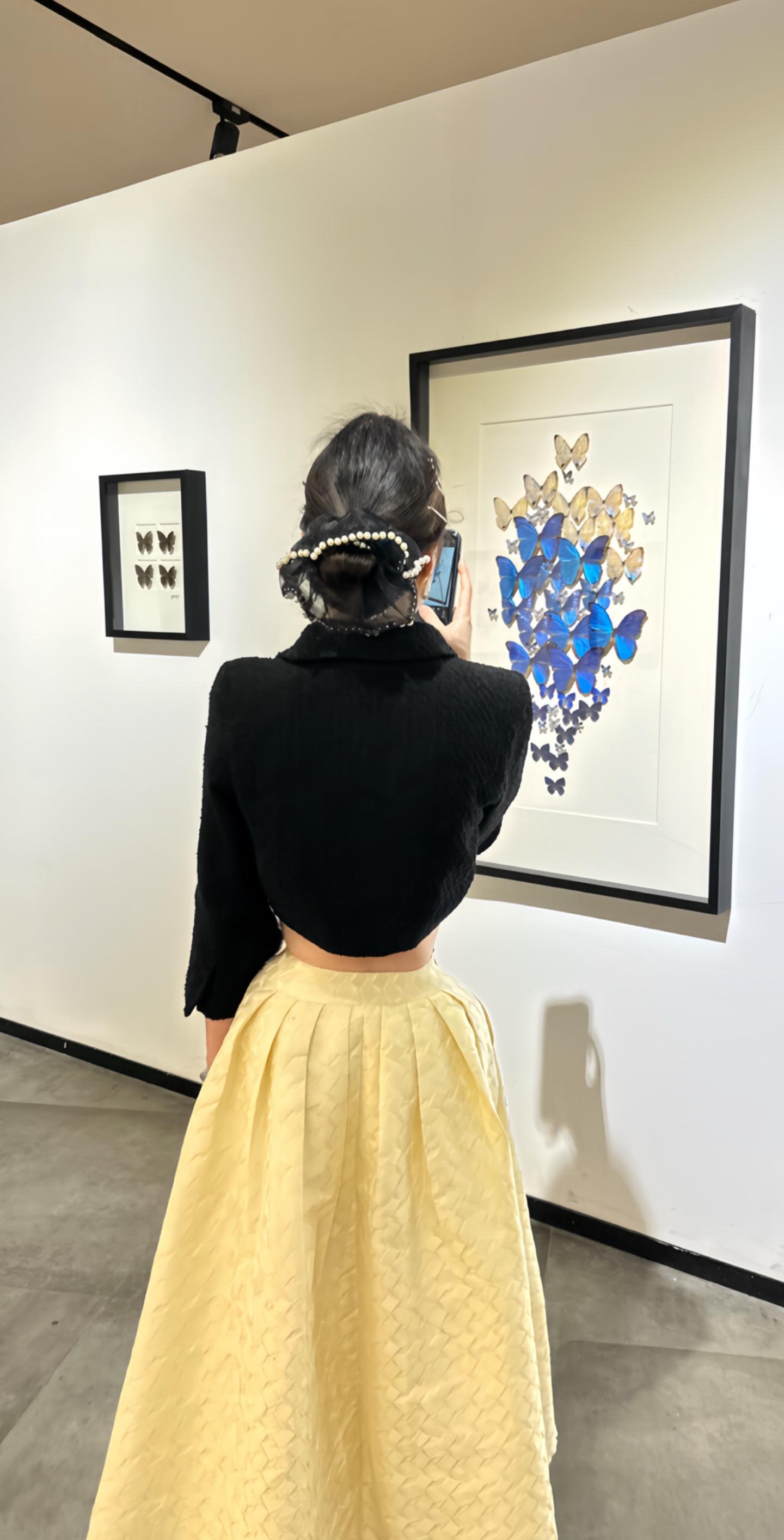 这是我看过最好看的蝴蝶🦋了  带你走进画里