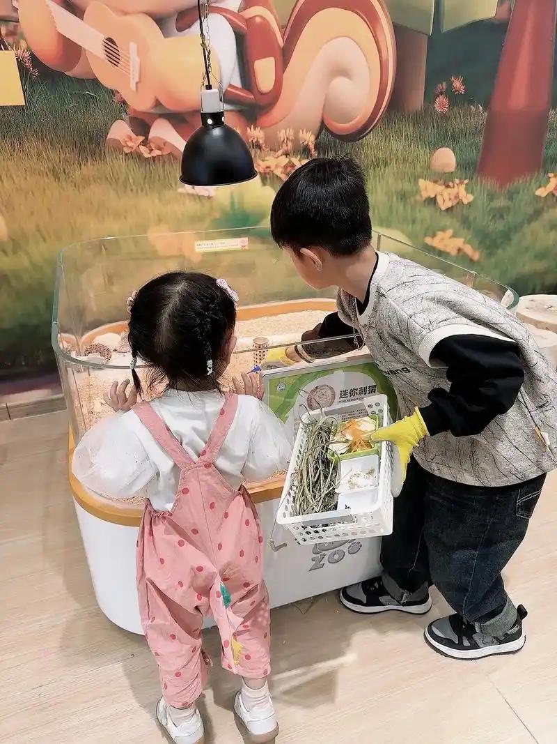 我认为更幸福
现在的孩子比我们小时候的物质生活及精神生活条件都要好的多。