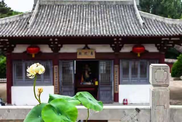 江苏美女尼姑胡某某被捕，9名徒弟说出内幕，真相让人唏嘘！！！！！
家人们，今天要