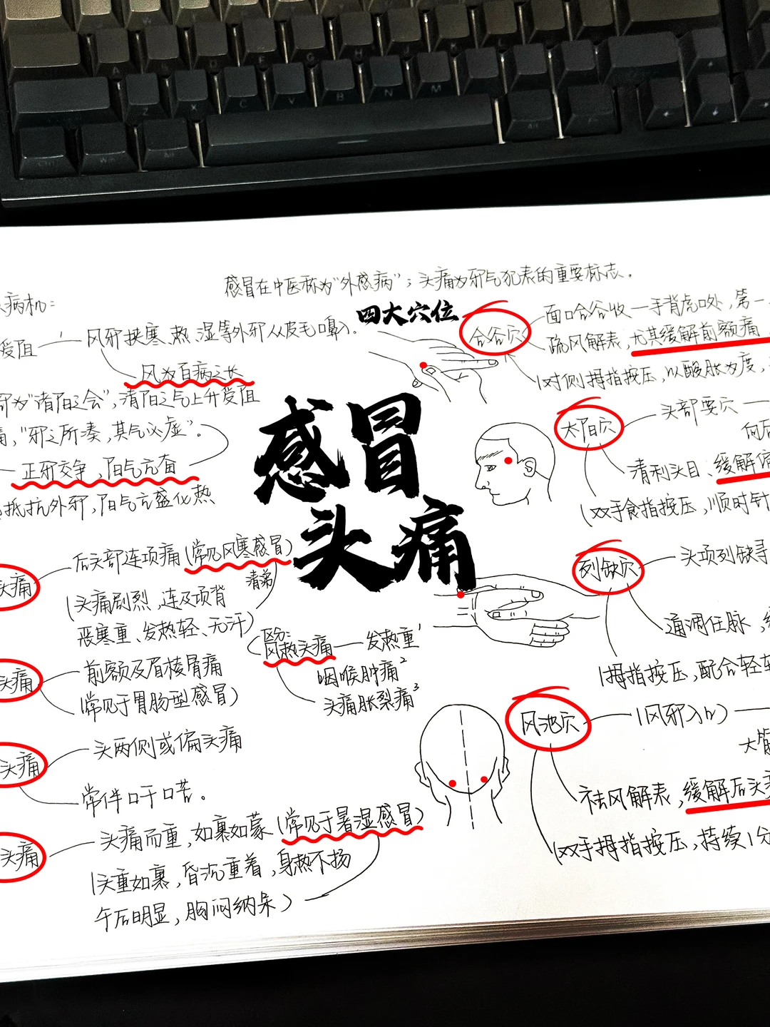 终于有人把感冒头痛原因梳理明白了！