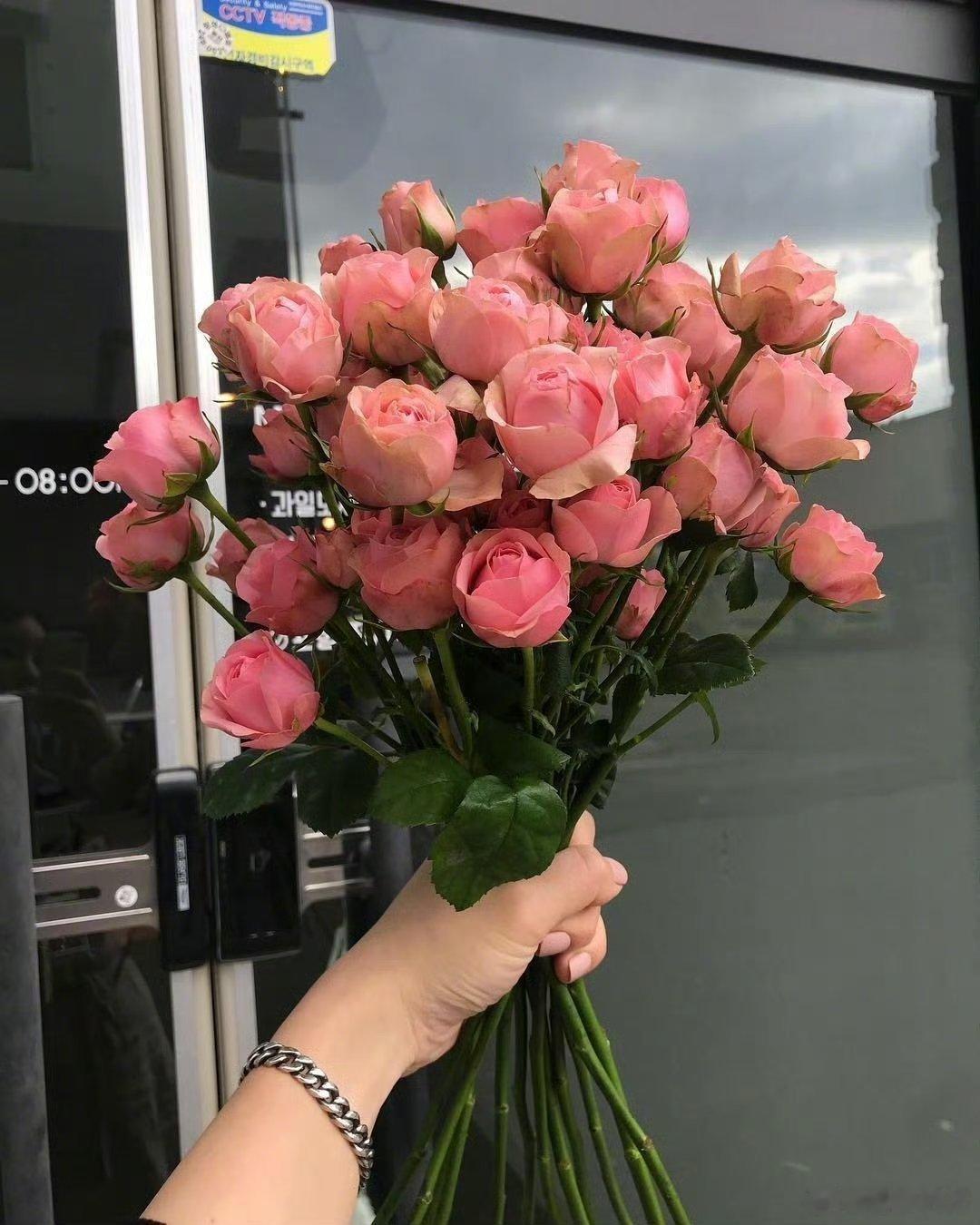 我的私人宝藏书单书评读书 于文字间沉淀你的贵气 要永远年轻，永远热情，永远不听话