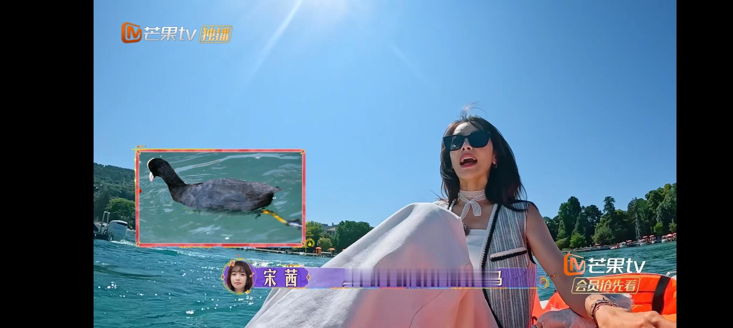 #宋茜鸭子骆驼超级老鼠# 把长颈鹿记成骆驼，把料理鼠王记成超级老鼠，宋茜：我记什