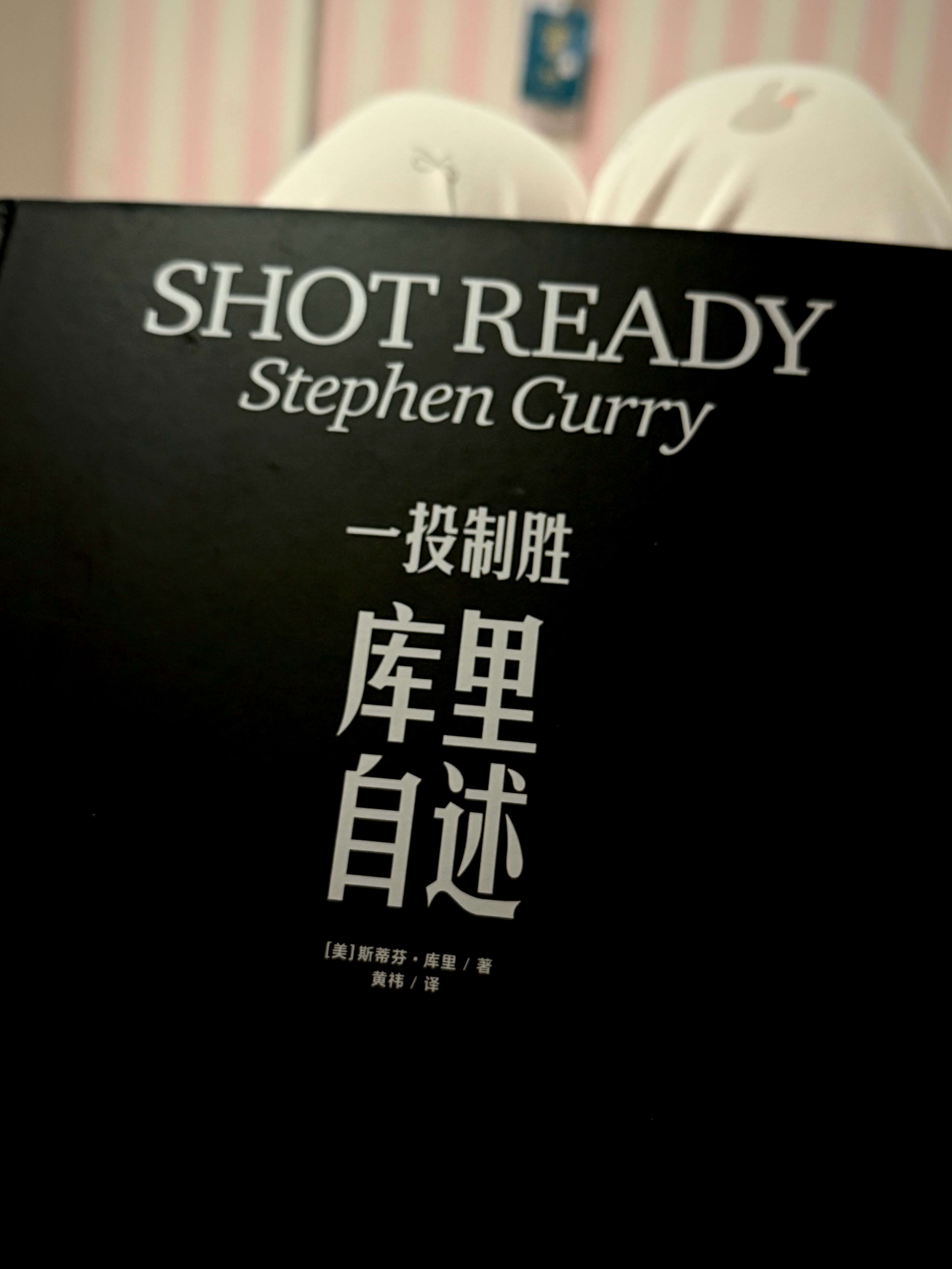 终于有大片的时间来读我库的自传，之前一直没有全部读完，因为我始终认为：只有完全静