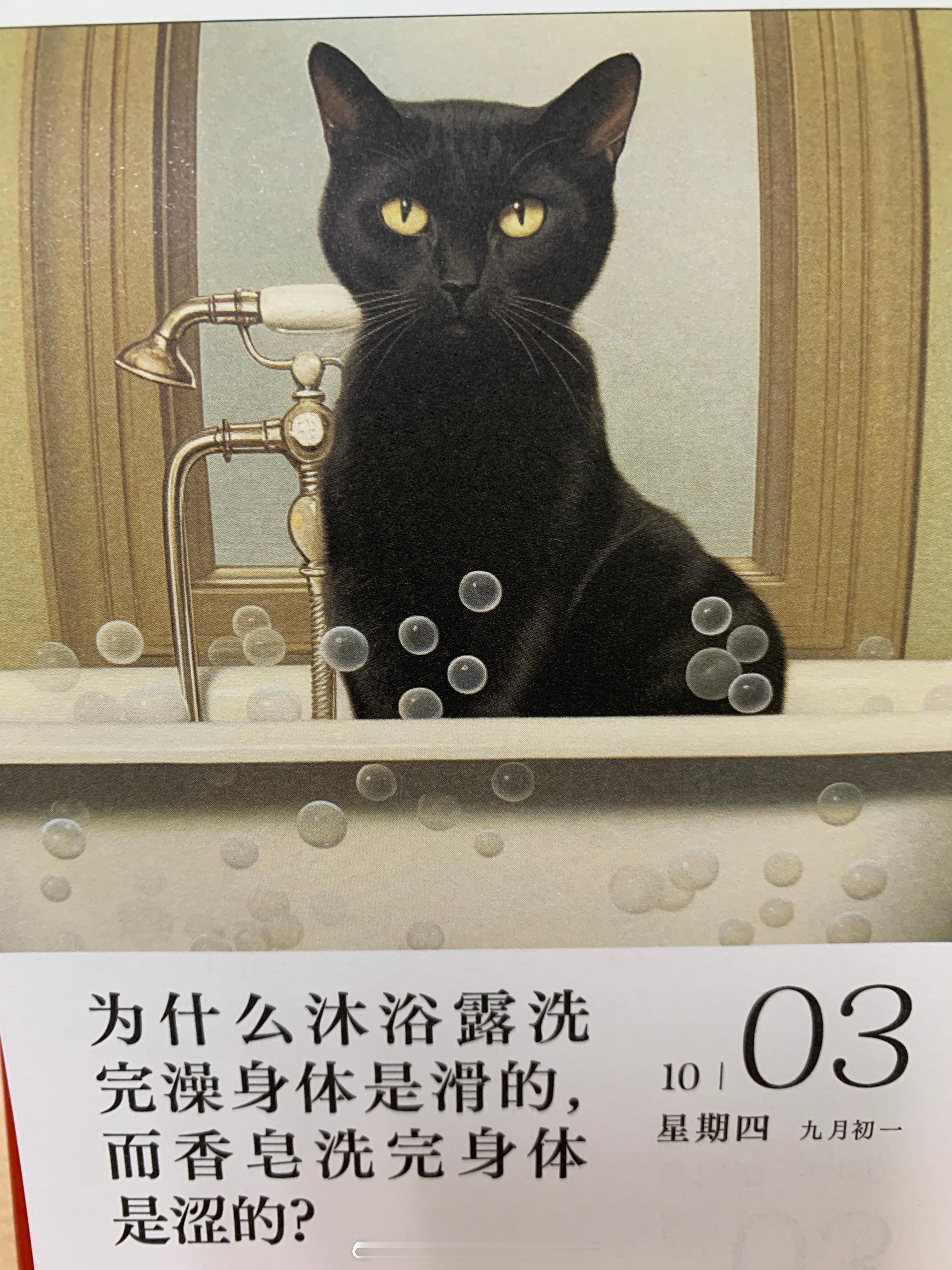早上好朋友们 ​​​