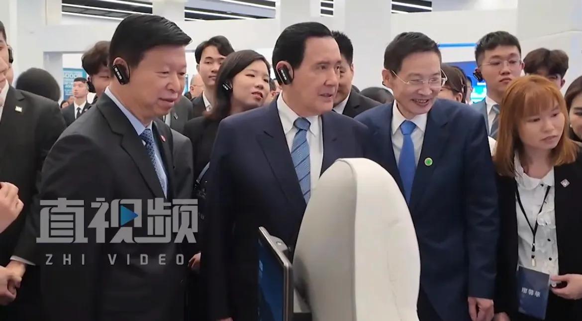 比亚迪现在有没有竞争对手？这是马英九率台青专访深圳比亚迪时问出的一个有趣的问题，