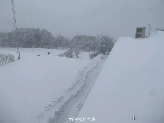 北方这次大范围降雪给春运中往家赶的人造成了很大困扰。
       24号开始，