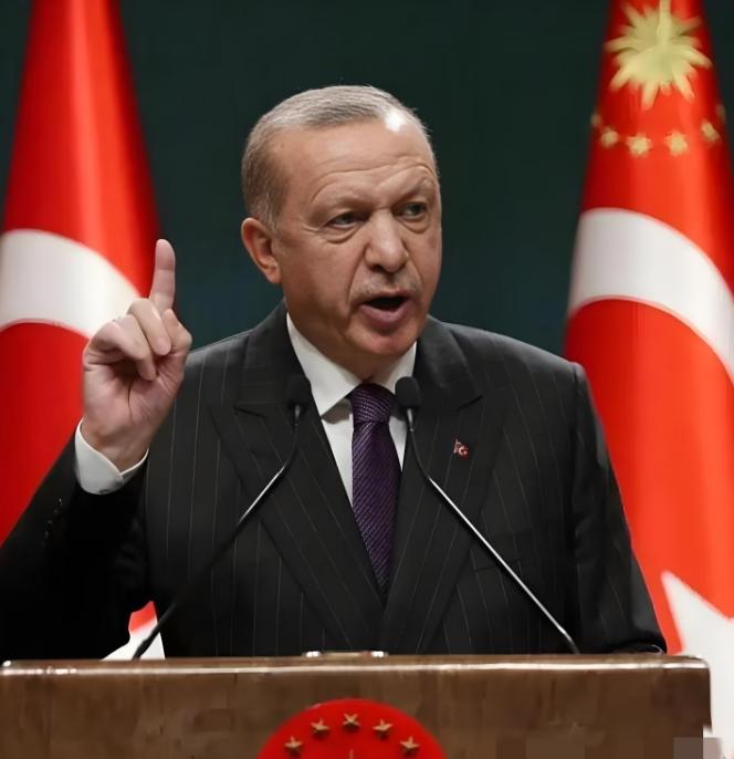 中国和土耳其谈话了

3月25日，土耳其终于等不了了，一通电话打到了中国，土耳其