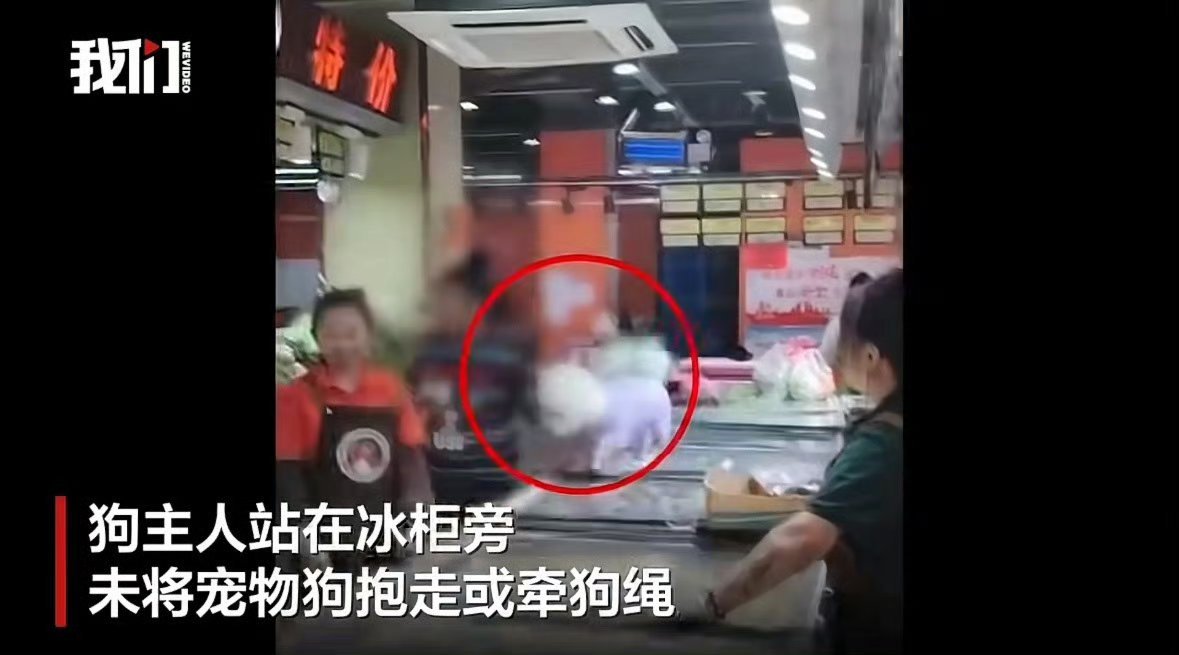 超市回应有宠物狗站生鲜冰柜上不起诉狗主让狗主赔偿损失吗？