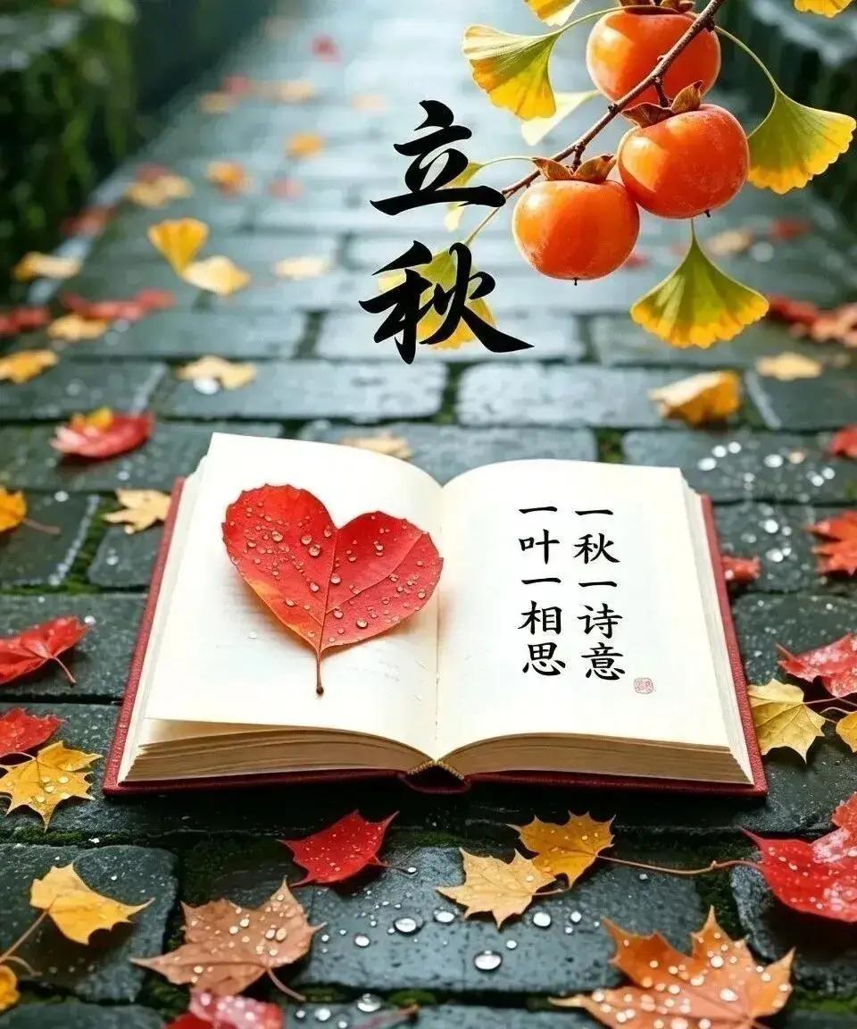 立秋一到，夏天的锋芒就收了起来，秋意开始不动声色地往前走。

清晨推开窗，迎面而