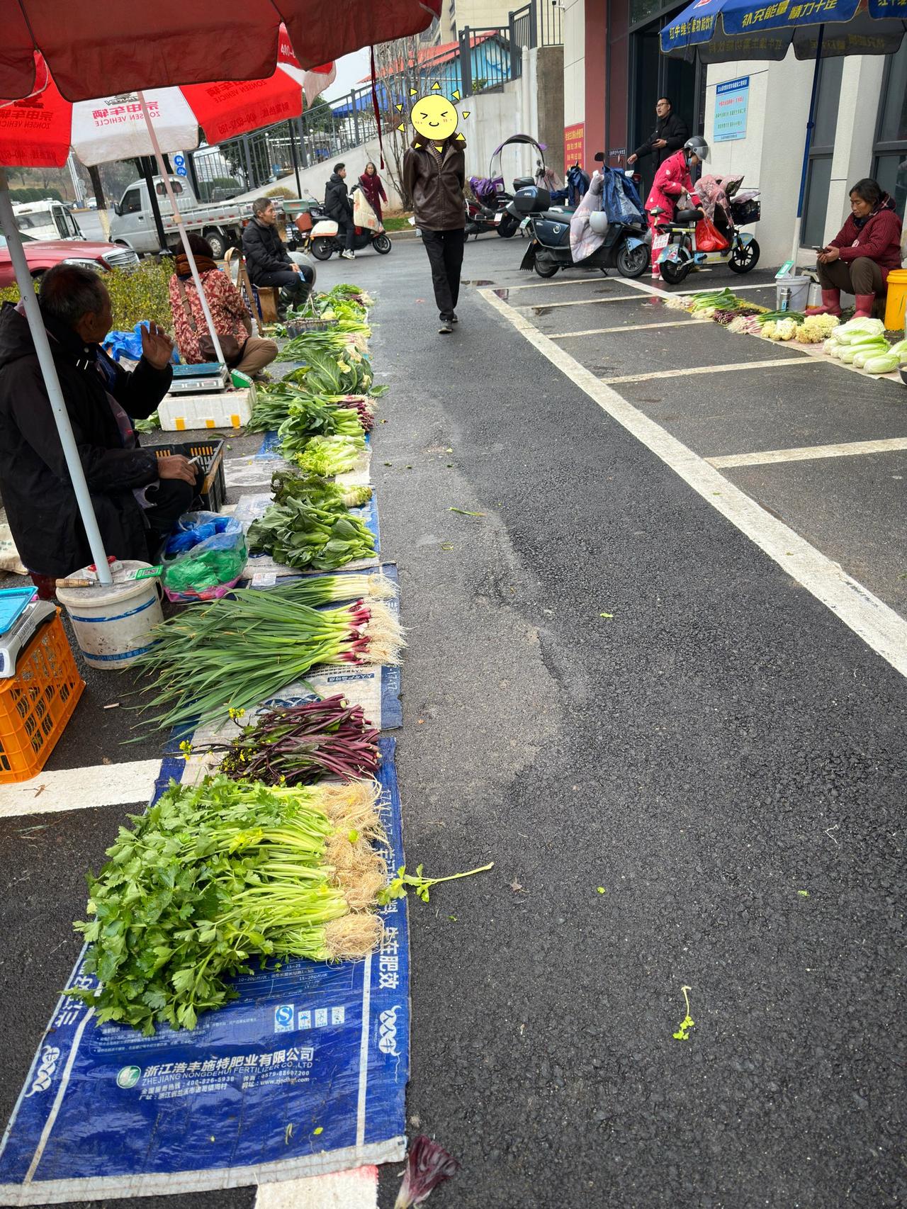 今年过年的菜价怎么这么便宜呀！

过年吃的菜今天先买起来吧。
今天买了一只鸡，¥