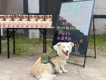 陈哲远的狗狗azan请《浮生》剧组喝了秋天的第一杯奶茶 
