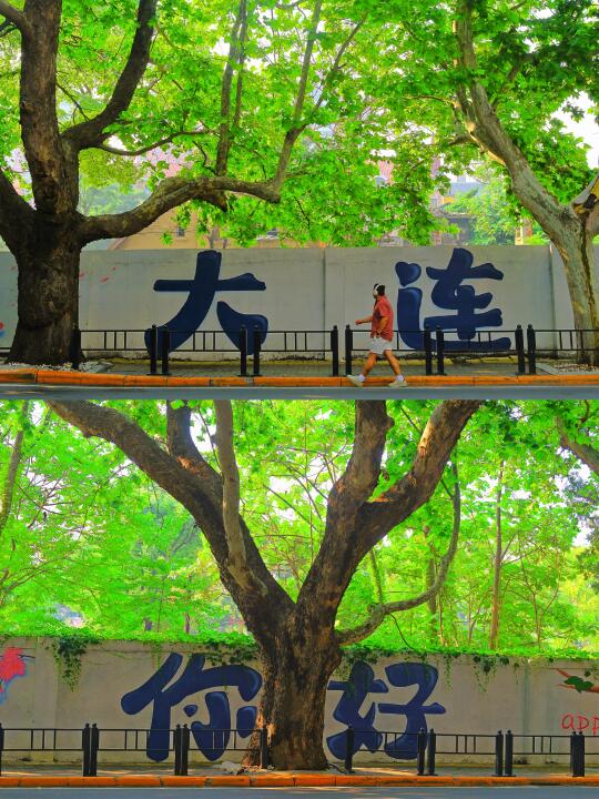 大连太凉快❗️回来6天还没缓过来🗺️附全攻略