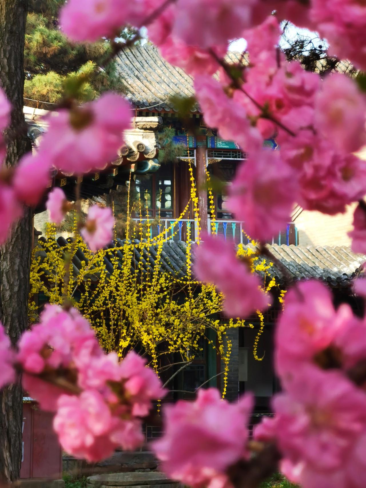 四月的避暑山庄，最美的地方是如意洲，一定不要错过。

避暑山庄面积很大，一般人一
