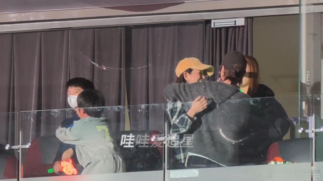 陈妍希一家与谢楠一家看陆虎演唱会谢楠小儿子一把抱住陈妍希儿子 陈妍希一家与谢楠一
