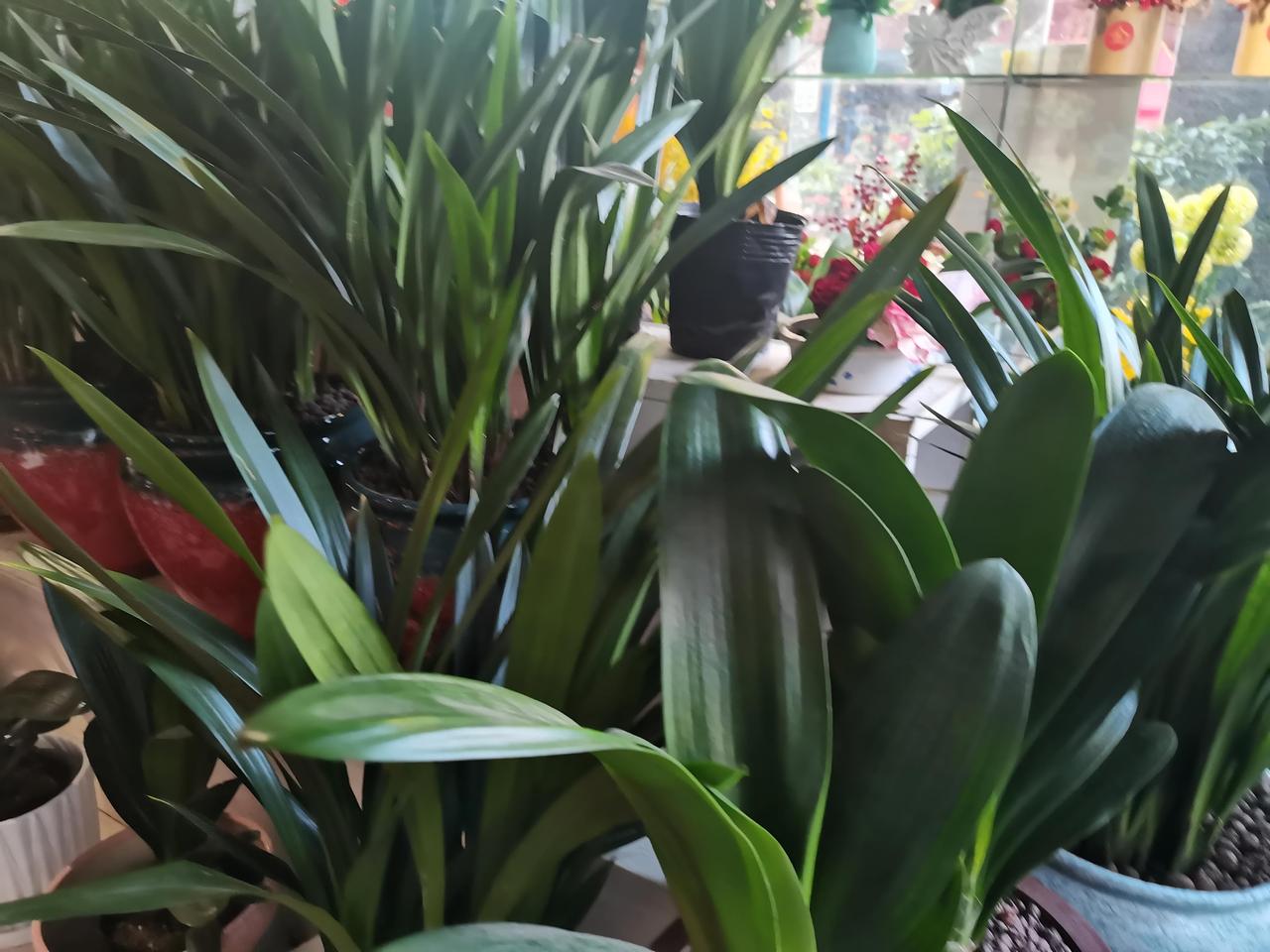 上个月中旬，在长沙工作的小弟买了新房，邀请在家乡居住的我与二弟去长沙参加小弟的乔