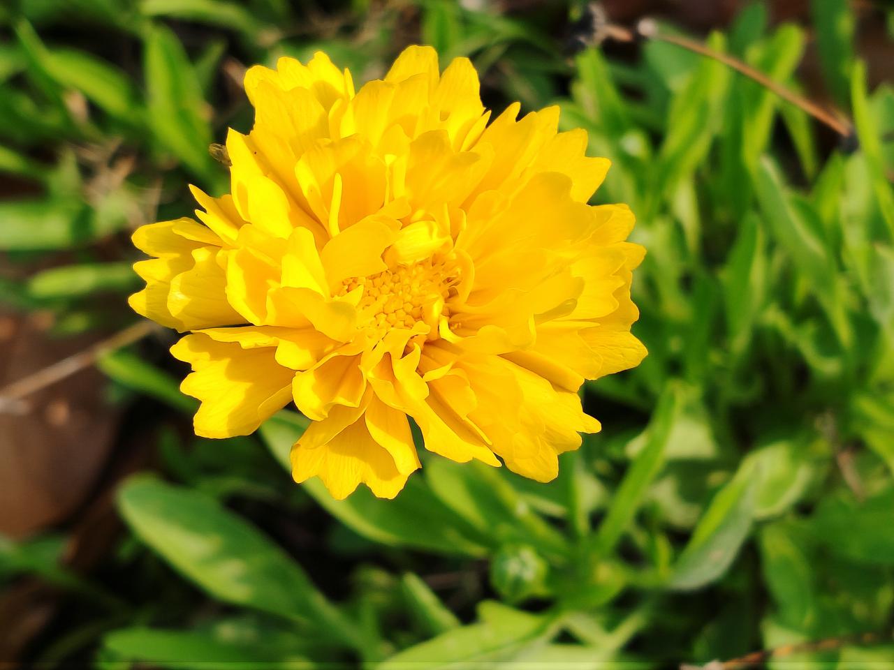 不止损、不断补仓，死扛到底。
到底有多可怕！
2020年11月，我以43.58元