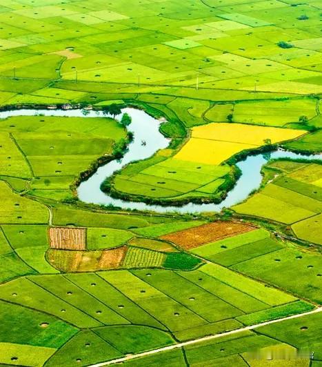 越南在地理上有一个很大的弱点，就是国土太狭长，像条被拉长的面条，这地形看着没啥，