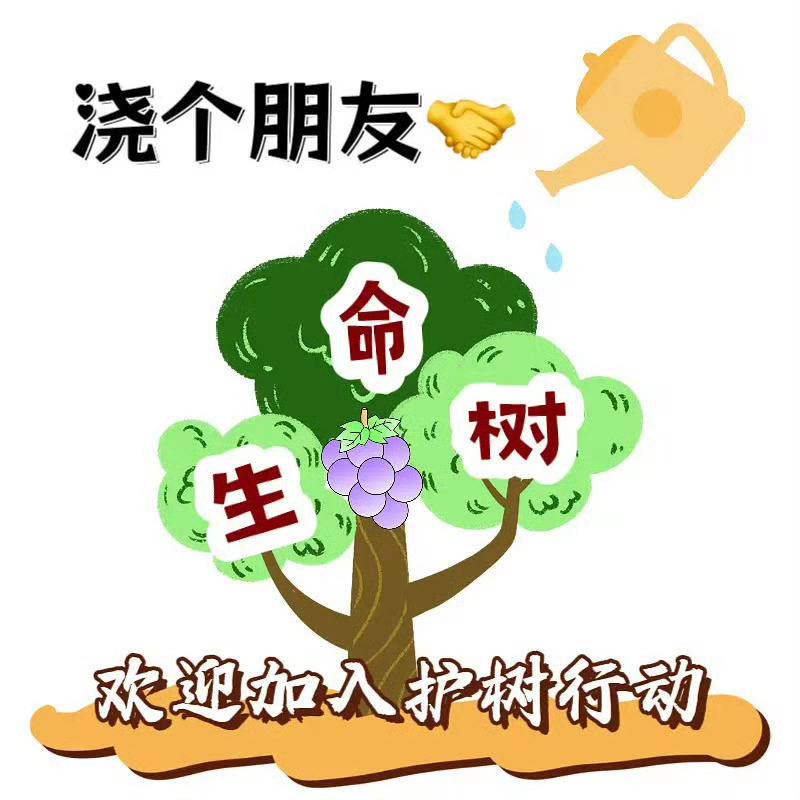 杨紫回应无缝进组等生命树杀青后，我开始期待紫神下部剧的进组了[好喜欢][好喜欢]