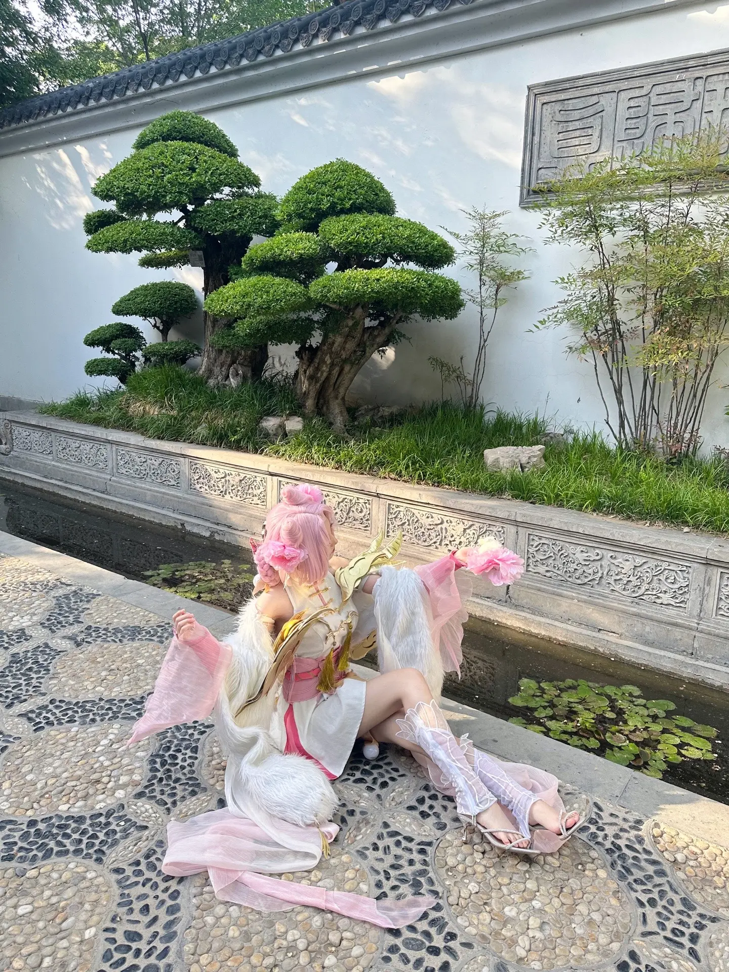 花开之期 原来不是约定吗
