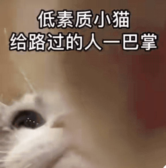 妈的，我就记得原文是只说了牛排而不是炸牛排，就想了很久炸牛排得是什么味 