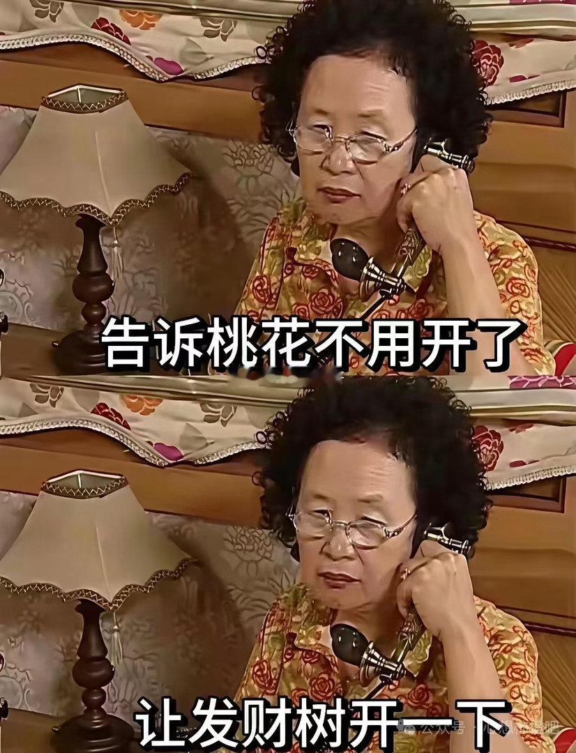 桃花别开了 轮到发财树开了