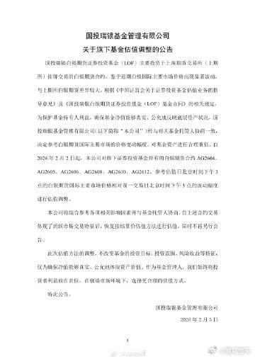 国投白银LOF重估基金资产 这一课没白上，让很多人开智 
