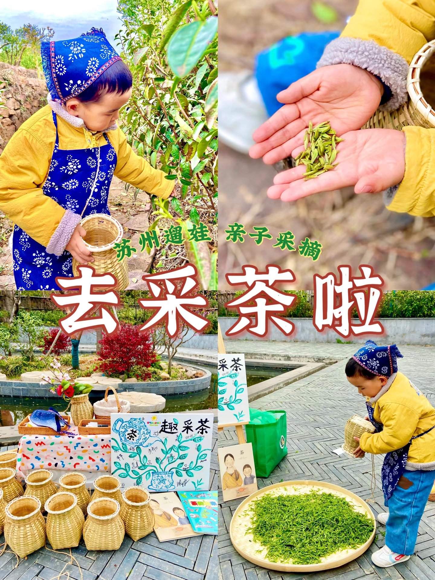 苏州遛娃|喝上了小朋友自己采的碧螺春🍵