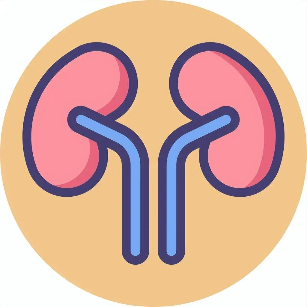 如何补肾有说法，一文帮你理清补肾的顺序
1、补肾先疏肝
辨证：肝脏主管身体气机的