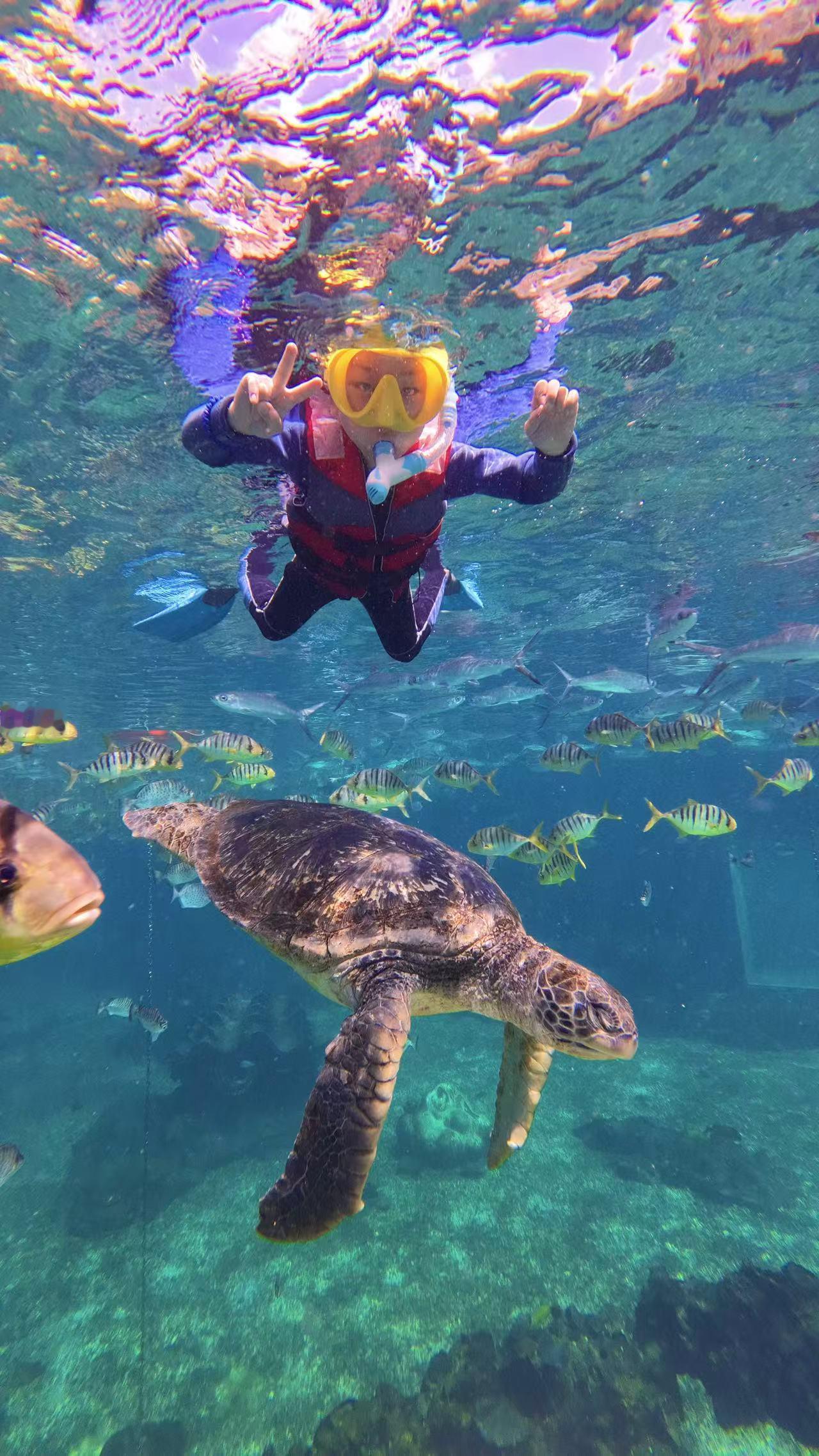 带娃去三亚海棠湾别错过浮潜，孩子特别有成就感，玩了还想玩。
这次带我π宝去海棠湾