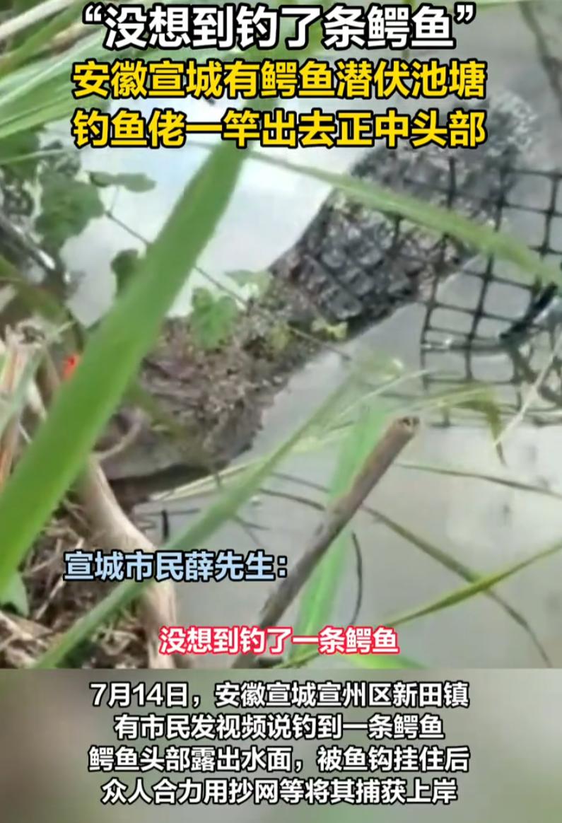 万万没想到！安徽宣城，一男子到河边钓鱼，结果一杆子甩出去， 鲫鱼没钓到，反而钓到