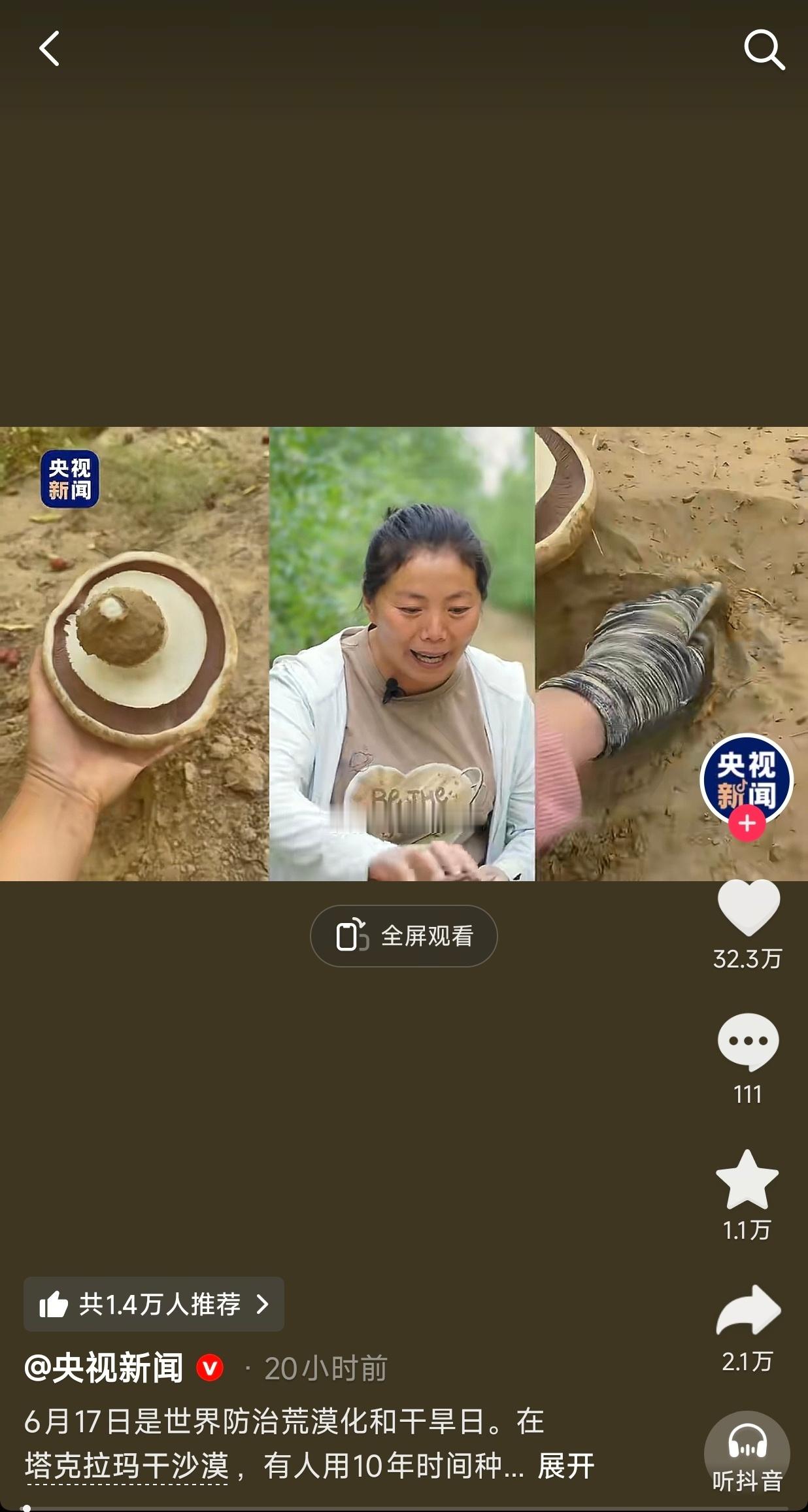 在沙漠种枣树却因为挖蘑菇的四妹上央视新闻专题记录片了。故事很平淡但很好哭，初心只