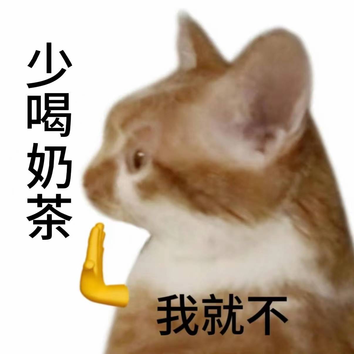 支付宝首页在玩很新的养生学这波养生科普太对味了！用趣味猜谜传递健康知识，既轻松又