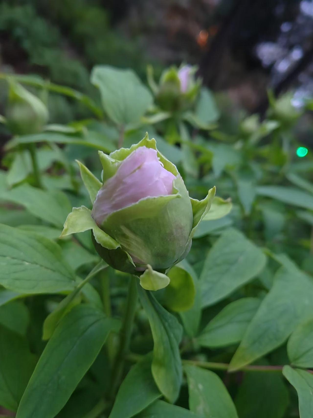 最好的养生之道是什么? 1、保持松弛感，个人松弛感 女性要松弛感 就是无所谓的态