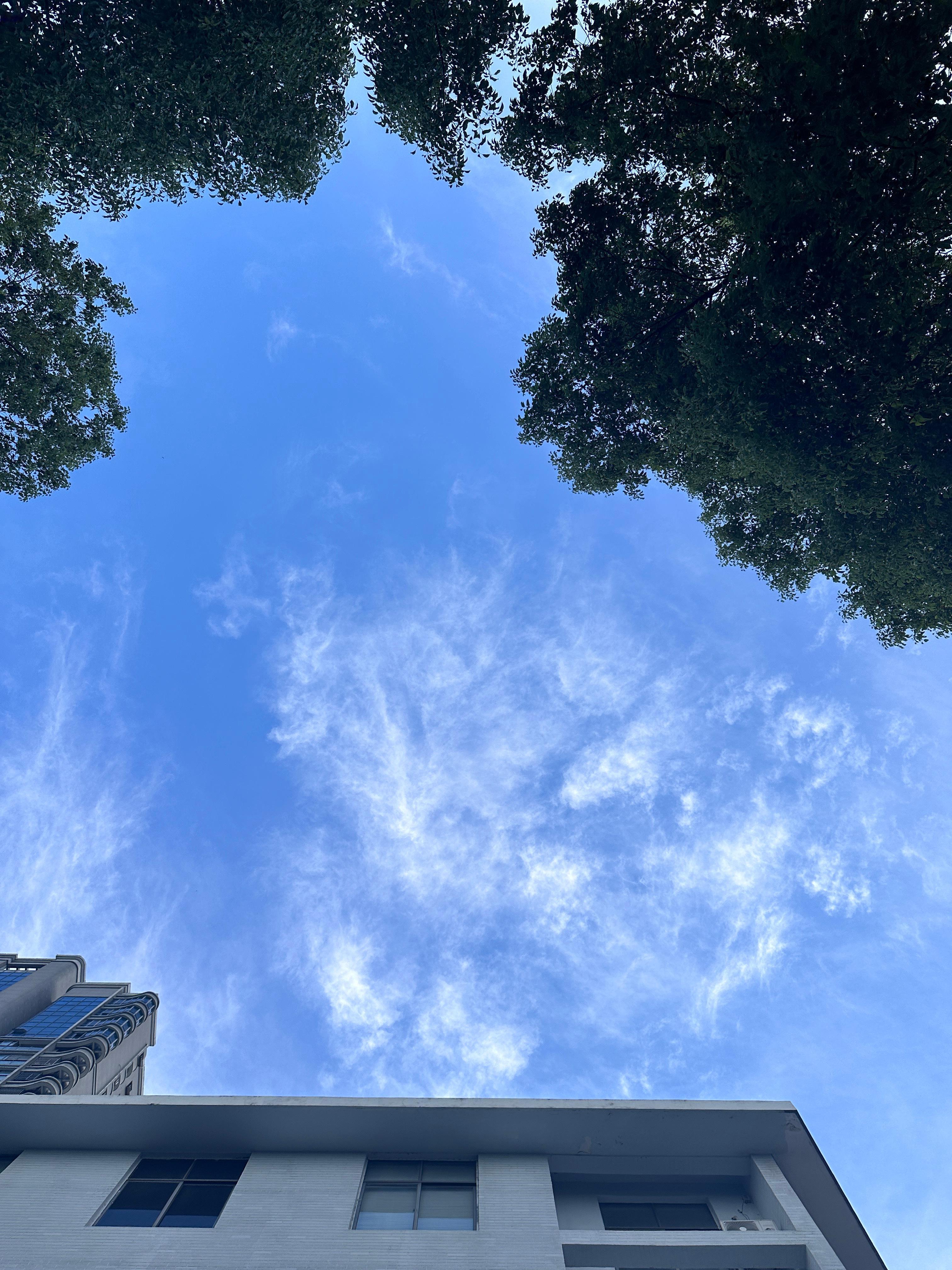 昨天我把复数的杂志出给同城果子后，今天开车给我送来了这个可爱的挂件，亲手勾了[舔